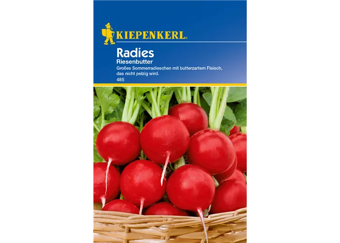 Radieschen 'Riesenbutter'
