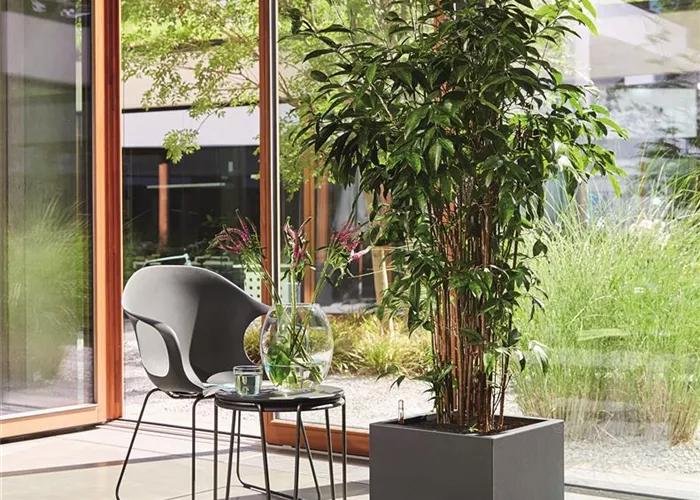 LECHUZA CANTO Stone 40 low