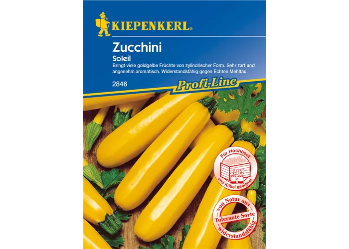 Zucchini 'Soleil F1' Zucchini 'Soleil F1'