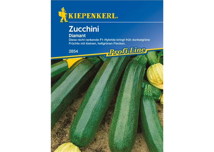 Zucchini 'Diamant F1' Zucchini 'Diamant F1'