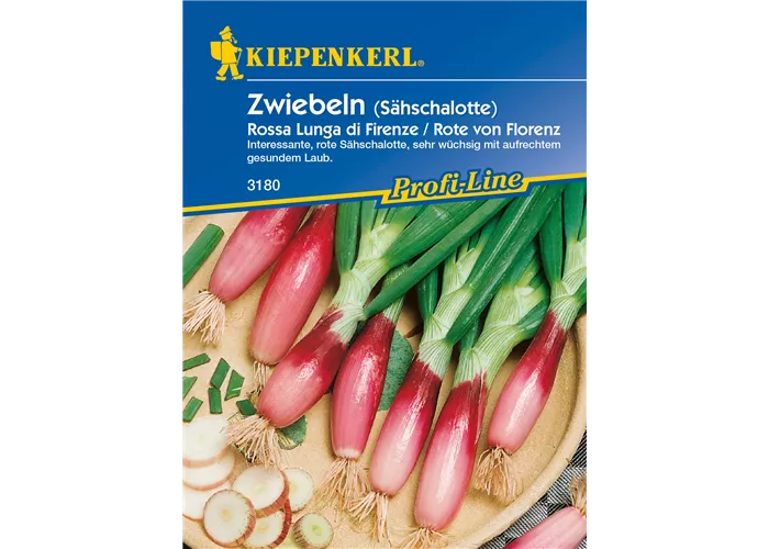 Frühlingszwiebel 'Rossa lunga di Firenze'