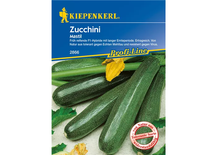 Zucchini 'Mastil' Zucchini 'Mastil'