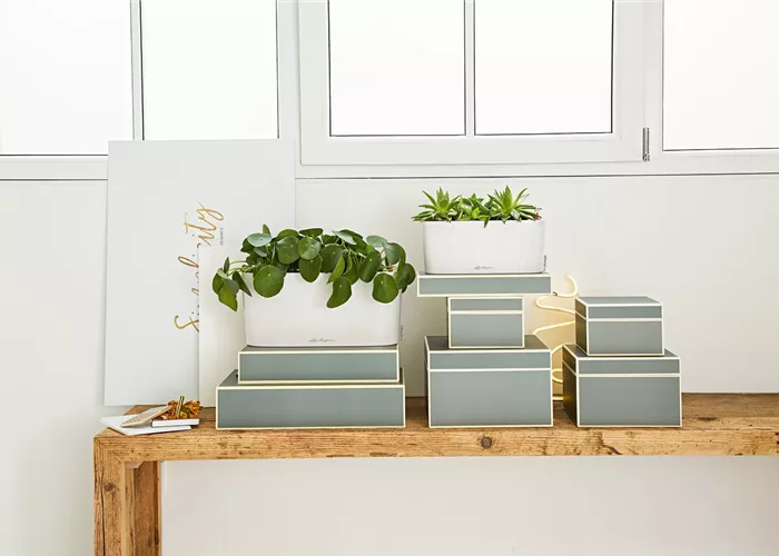 LECHUZA DELTA Premium 10  LECHUZA DELTA Premium 10