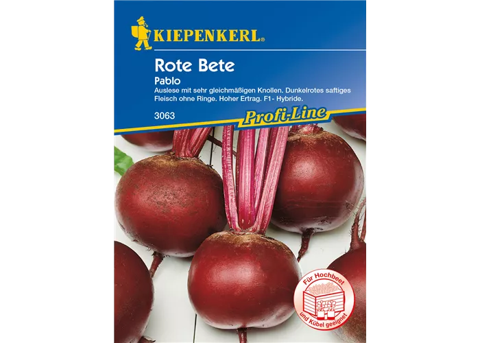 Rote Rübe 'Pablo'