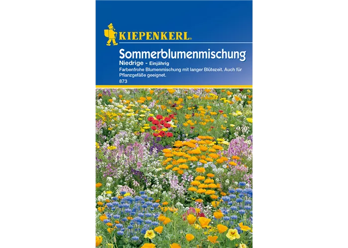 Niedrige Sommerblumen