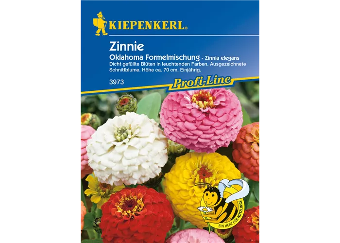 Garten-Zinnie 'Oklahoma-Formelmix'