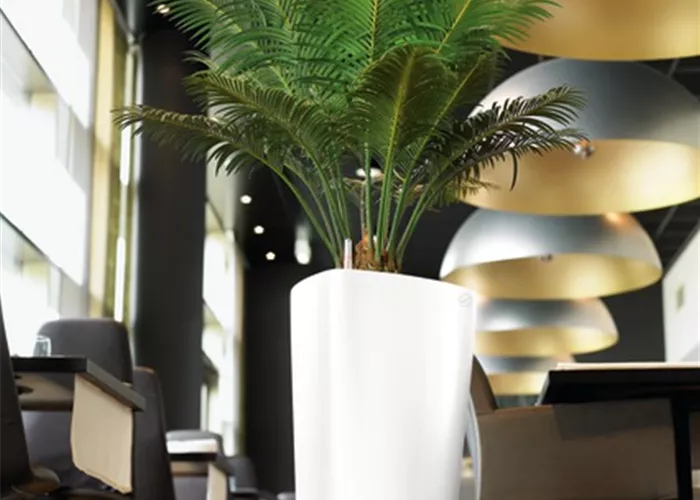 LECHUZA DELTA Premium 40  LECHUZA DELTA Premium 40