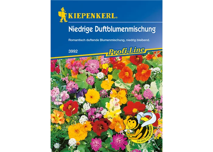 Niedrige Duftblumen
