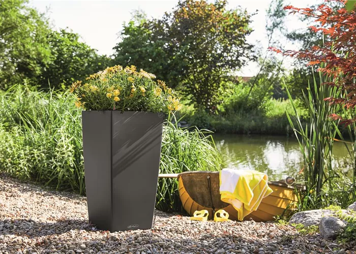 LECHUZA CUBICO Color 40  LECHUZA CUBICO Color 40