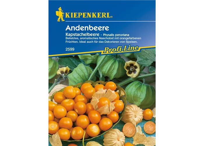Andenbeere