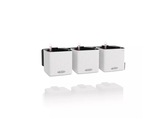 LECHUZA Green Wall Home Kit Color