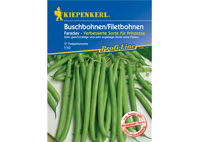 Buschbohne 'Faraday'
