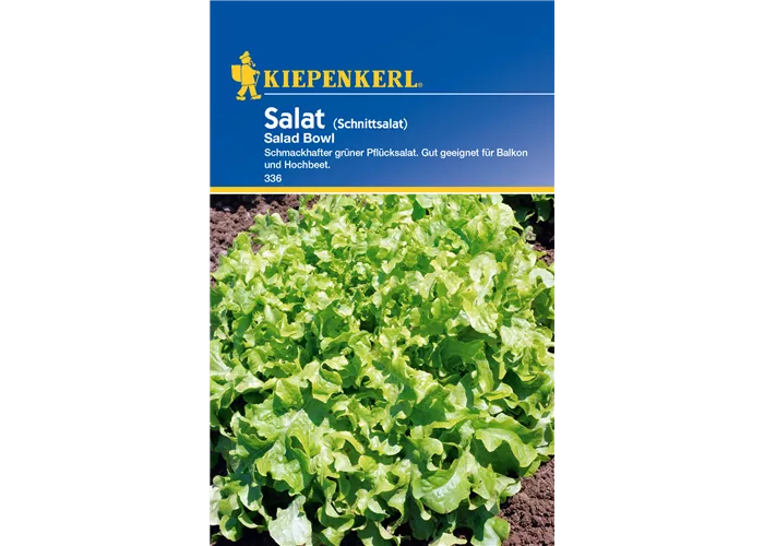 Eichblattsalat 'Salad Bowl'