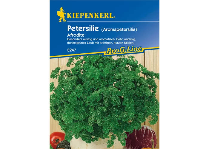 Krause Petersilie 'Aphrodite'