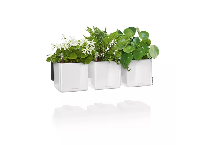 LECHUZA Green Wall Home Kit Glossy 