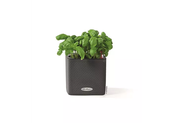 LECHUZA CUBE Color 14 