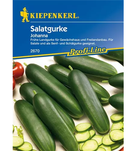Salatgurke 'Johanna'