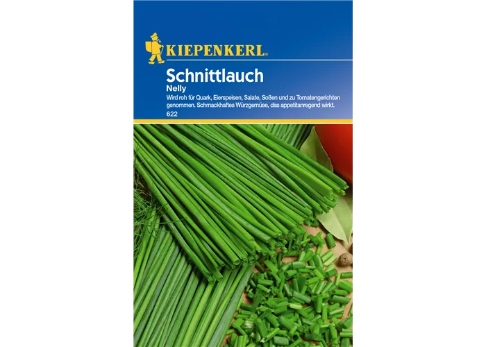 Schnittlauch 'Nelly'