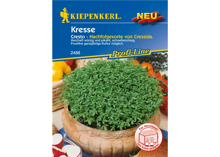 Gartenkresse 'Cresto'
