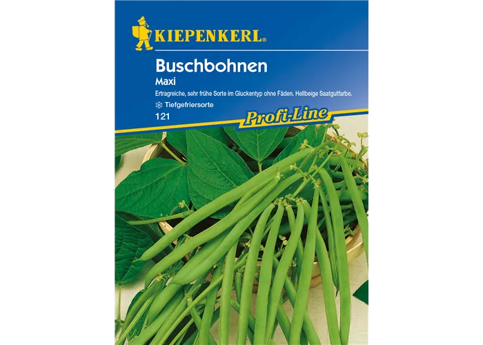 Busch-Bohne 'Maxi'