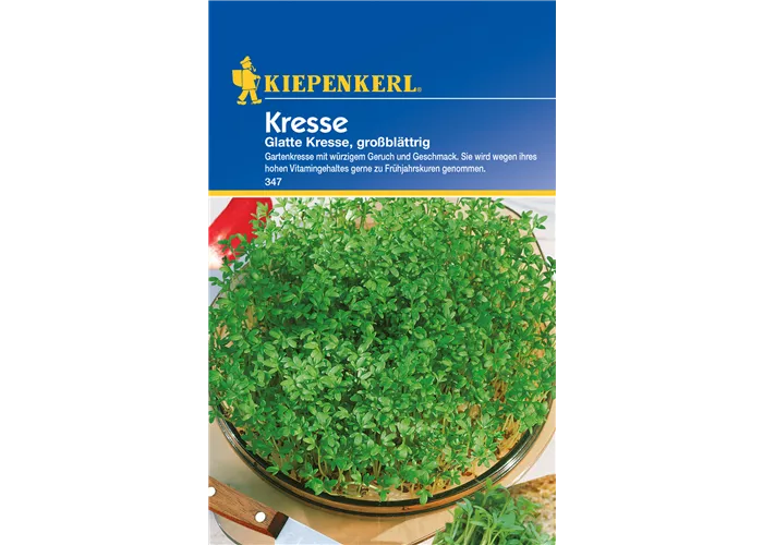 Gartenkresse 'Großblättrige'
