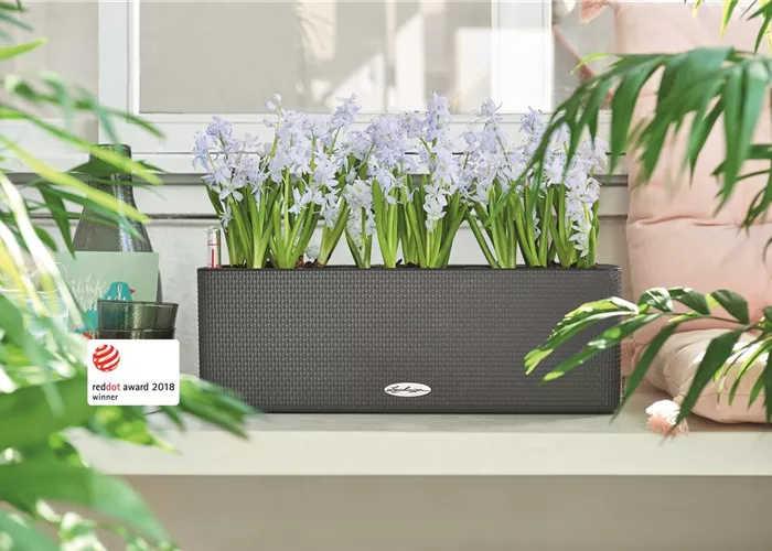 LECHUZA CUBE Color Triple 14 