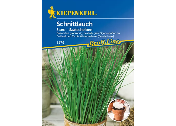 Schnittlauch 'Staro'