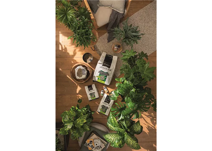 LECHUZA Pon Pflanzgranulat LECHUZA Pon Pflanzgranulat