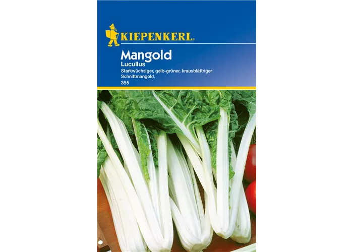 Blatt-Mangold 'Lucullus'