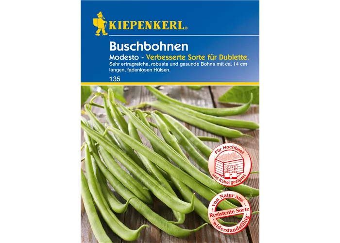 Buschbohne 'Modesto'