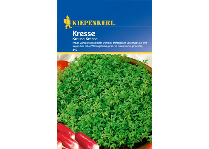 Gartenkresse 'Krause'