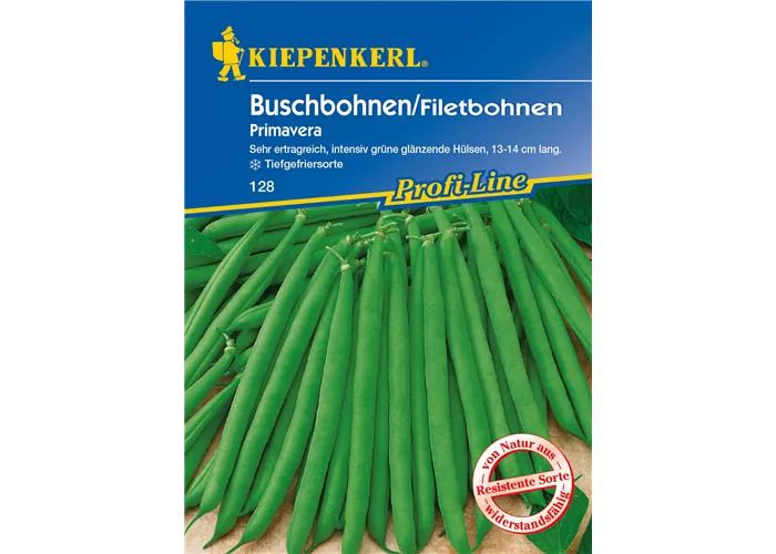Busch-Bohne 'Primavera'