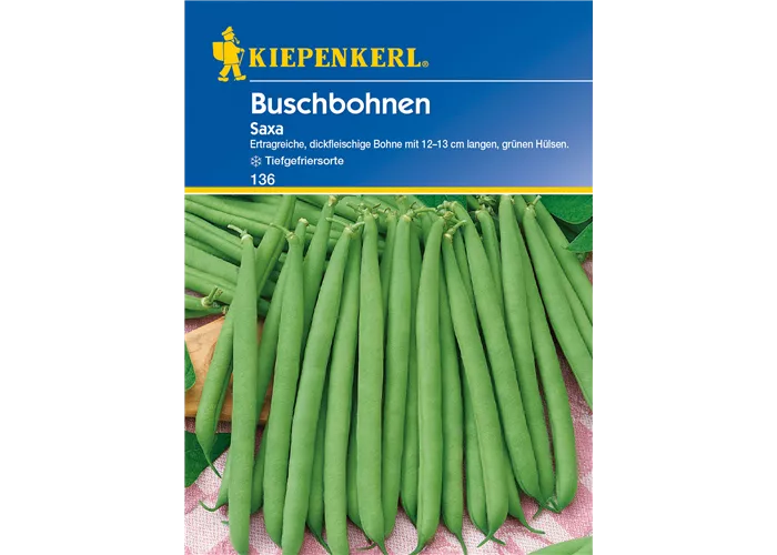 Busch-Bohne 'Saxa'