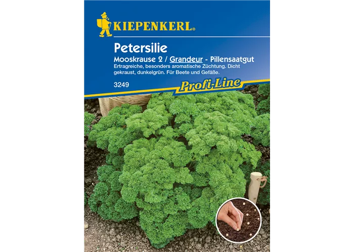 Krause Petersilie 'Grandeur'