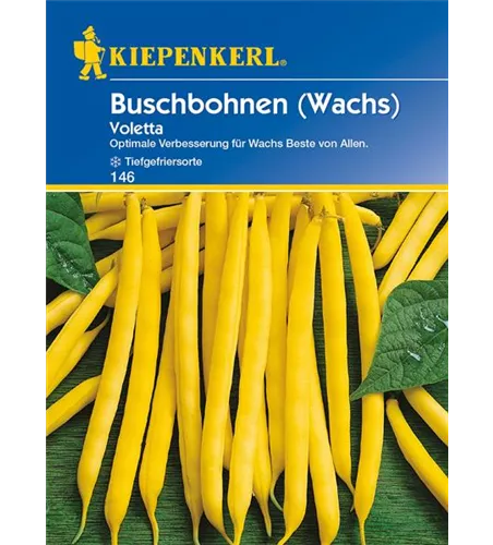 Wachs-Busch-Bohne 'Voletta'
