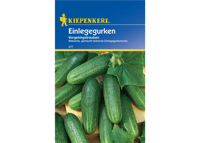 Einlege-Gurke 'Vorgebirgstrauben'