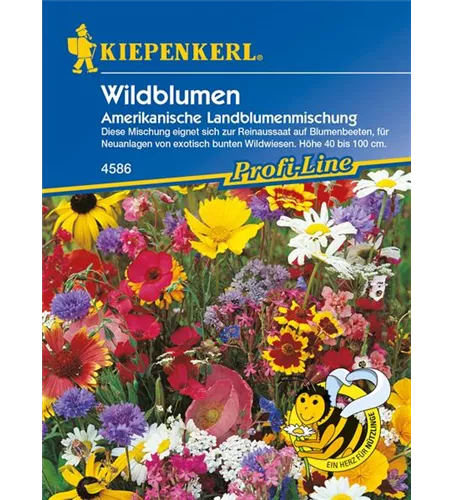 Amerikanische Landblumenmischung Amerikanische Landblumenmischung