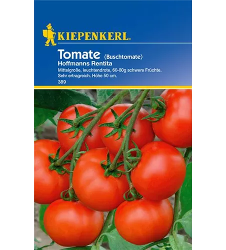 Buschtomate 'Hoffmanns Rentita'