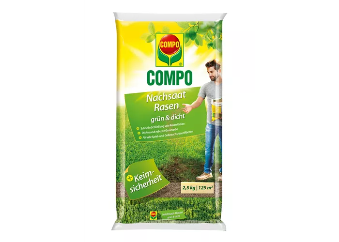 Compo Nachsaat-Rasen grün und dicht 
