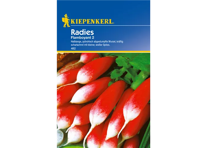 Radieschen 'Flamboyant 2'