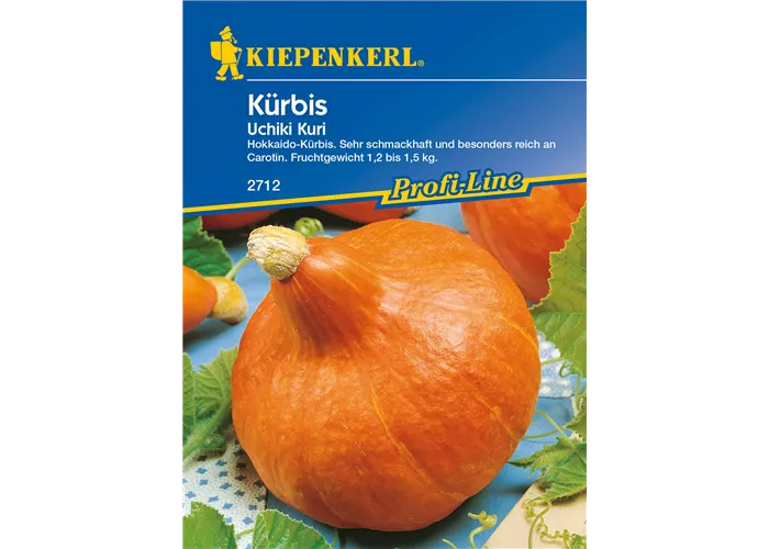Kürbis 'Uchiki Kuri'