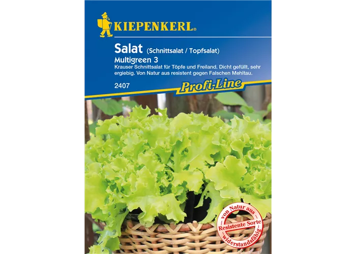 Eisbergsalat 'Multigreen 3'