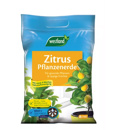 Westland Zitruspflanzenerde 8 l