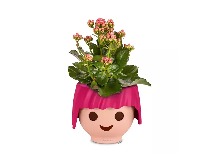 LECHUZA OJO LECHUZA OJO