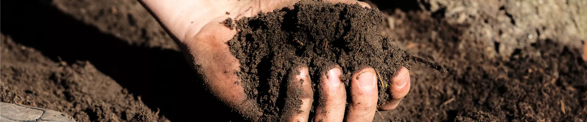 Hände mit Erde