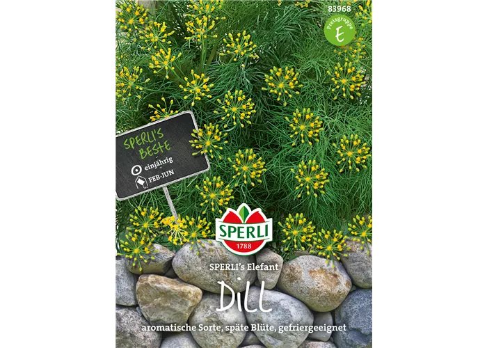Dill 'Elefant'