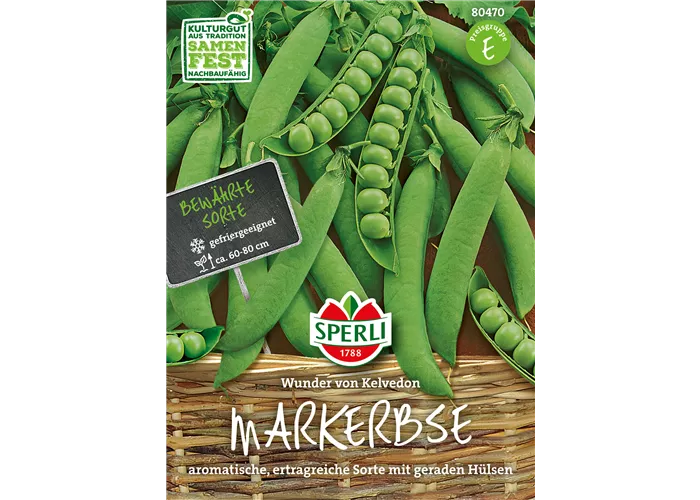 Markerbse 'Wunder von Kelvedon'