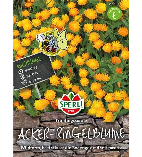 Acker-Ringelblume 'Frühlingssonne' Acker-Ringelblume 'Frühlingssonne'