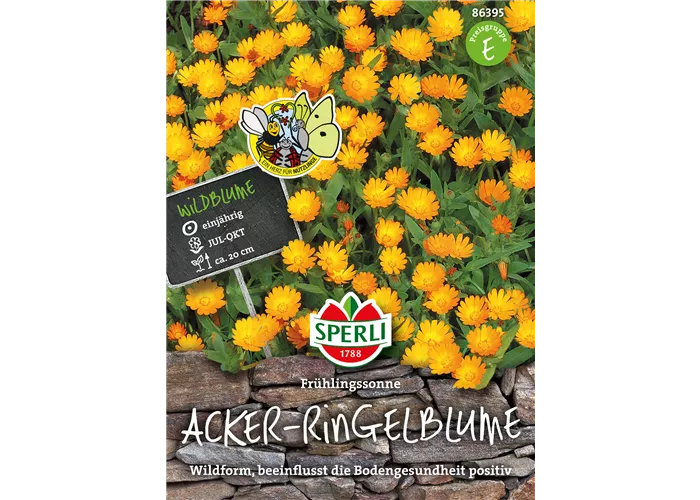 Acker-Ringelblume 'Frühlingssonne'