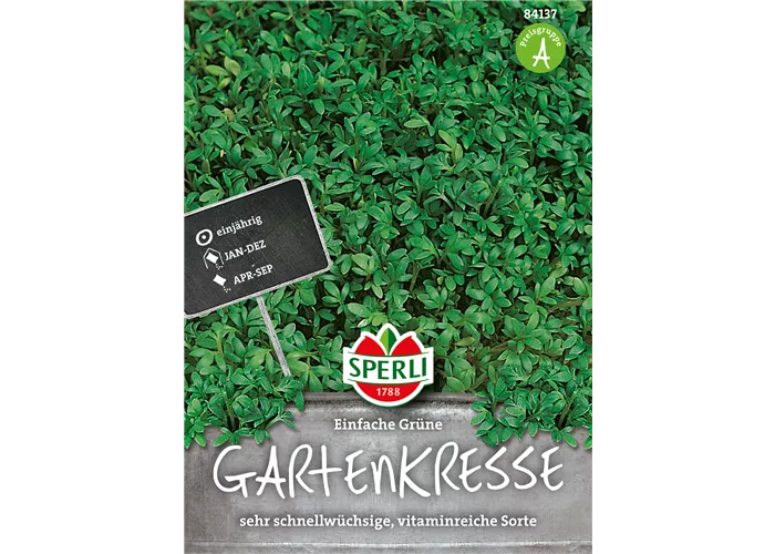 Gartenkresse 'Einfache Grüne'